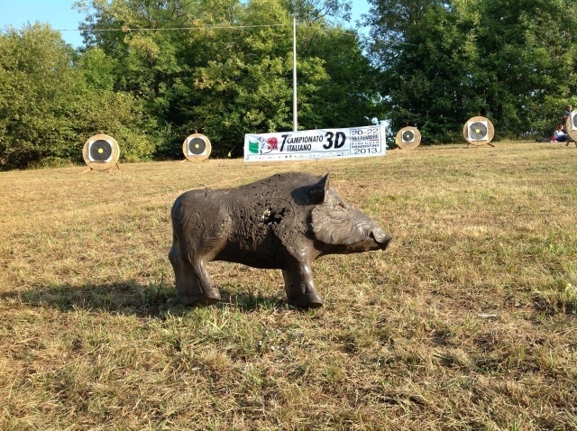 Campionati italiani 3D a Pinerolo: 538 arcieri in gara