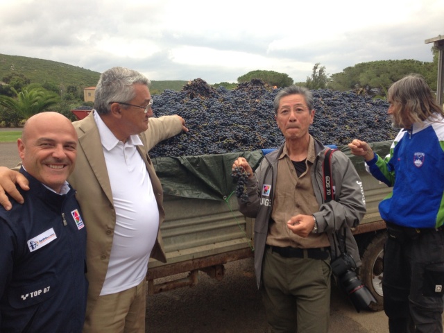 Sassari 2013: gli Arcieri Torres hanno gia' vinto