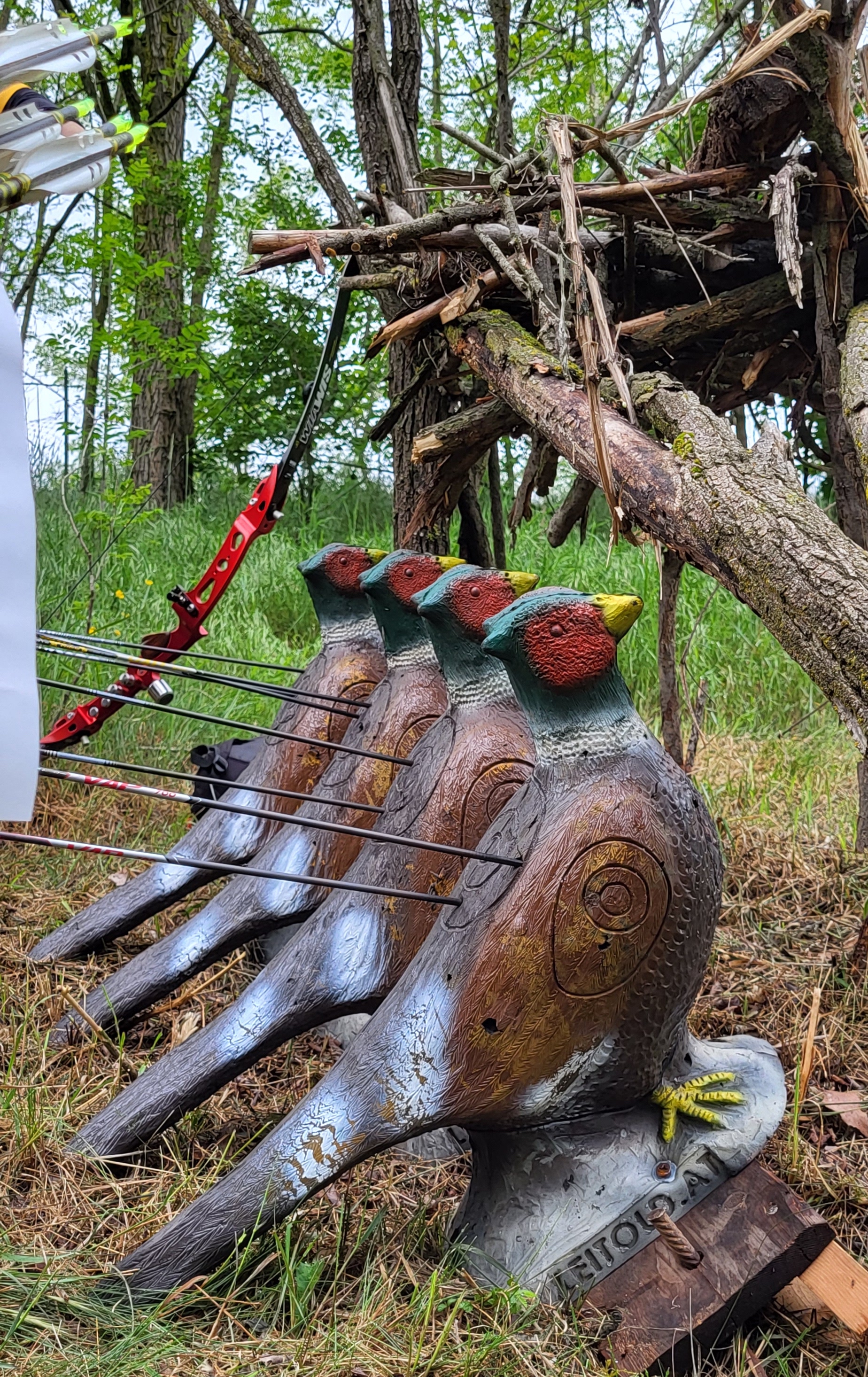 Piemonte: Campionato Regionale 3D